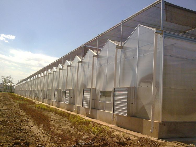 Beautiful Glass Greenhouse