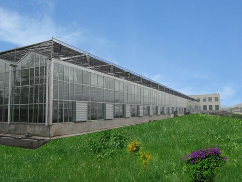 Glass Greenhouse