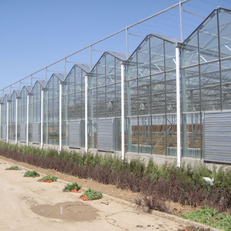 From which aspects should the market research before the greenhouse construction start