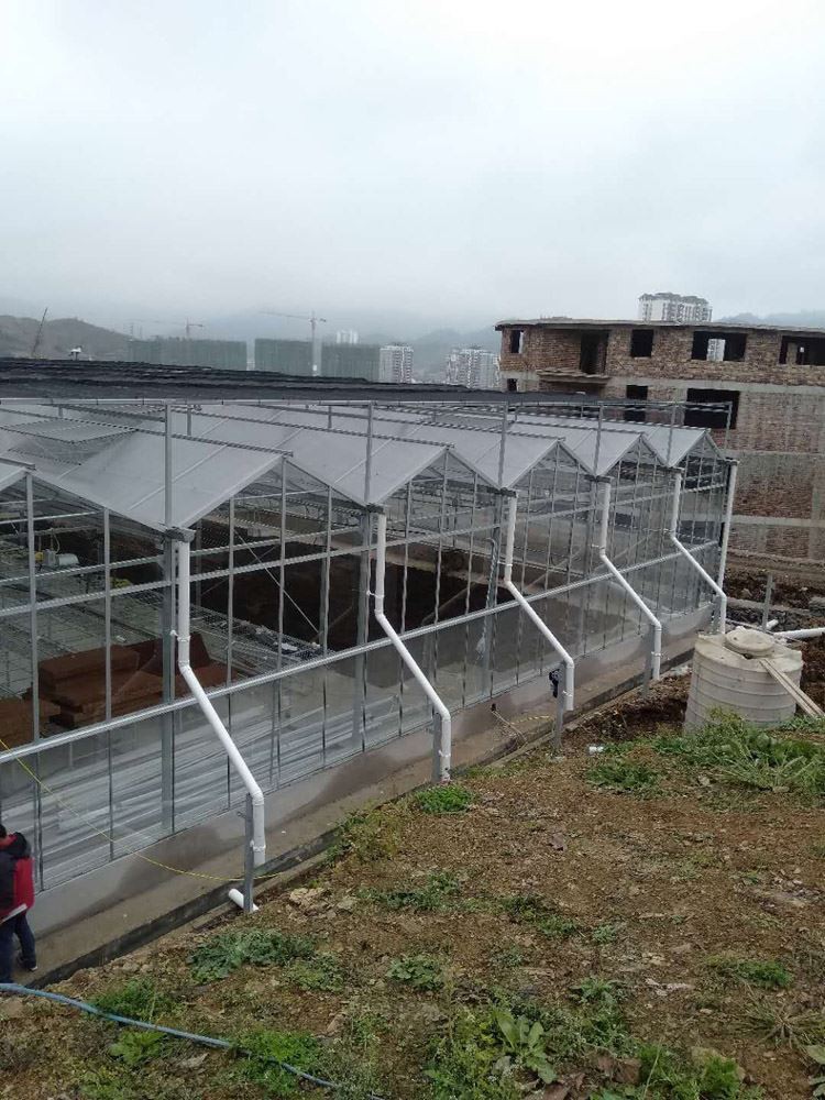 How to reduce nitrate in vegetables grown in greenhouses How to reduce nitrate in vegetables grown in greenhouses