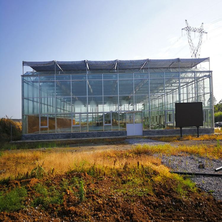 Galvanized pipe Galvanized pipe