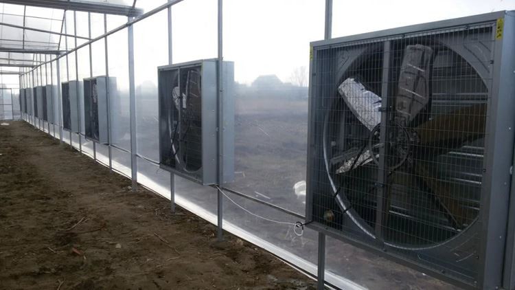 vegetable greenhouses
