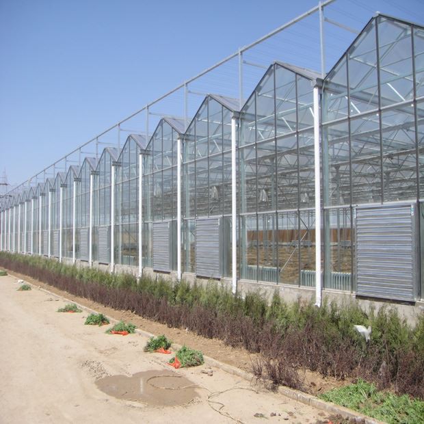 Multi-building intelligent greenhouse design Multi-building intelligent greenhouse design