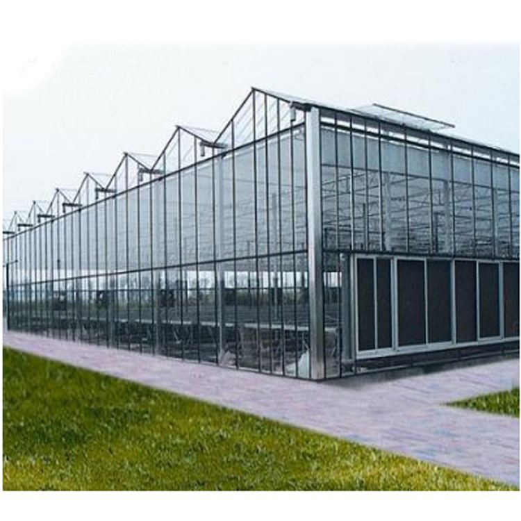 smart glass greenhouse construction