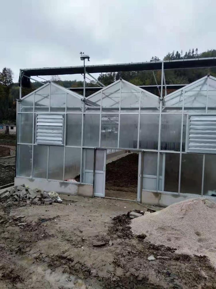 Glass Greenhouse