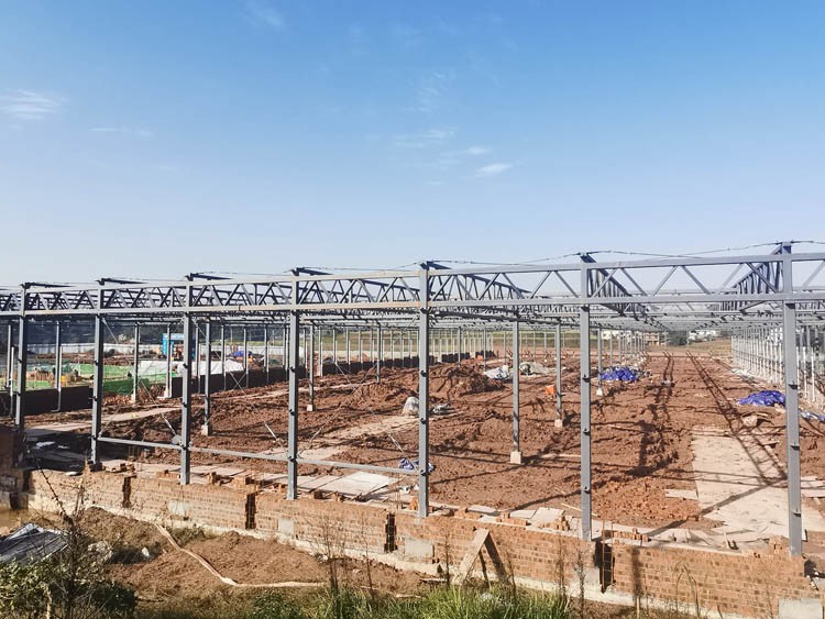 greenhouses greenhouses