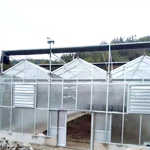 Rumah Hijau Kaca Jenis Venlo Pertanian