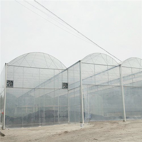 Depot rumah plastik rumah hijau