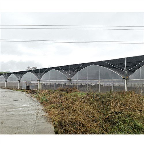 Penutup rumah hijau plastik homebase