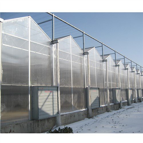 Strawberi Rumah Hijau PC