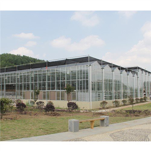 Lembaran polythene untuk rumah hijau